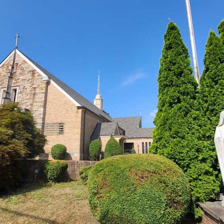 Stone church with green shrubs and tall evergreen under a bright blue sky