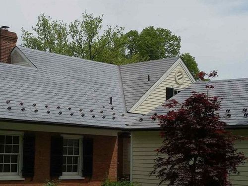 Brick house with gray shingled roof and dormer, partly framed by green trees and a red-leafed shrub