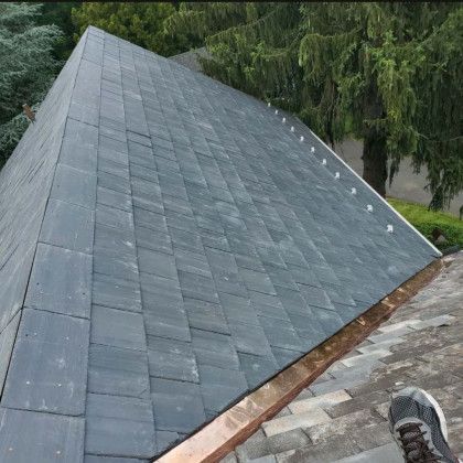 Slate-shingled roof with a steep triangular ridge, surrounded by trees, viewed from above