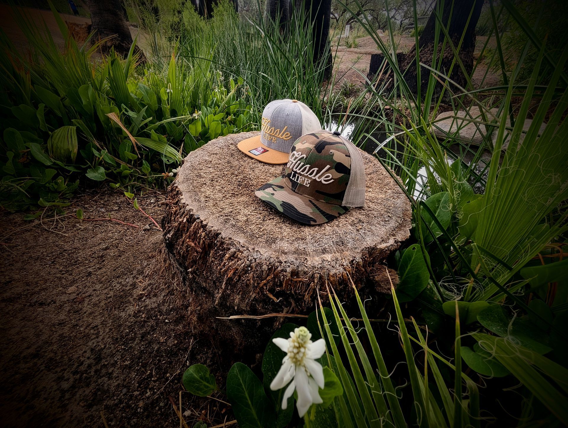 Two hats are sitting on top of a tree stump.