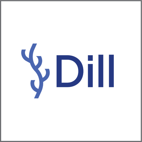 Blue Dilli logo with stylized floral icon and the word “Dilli” in blue