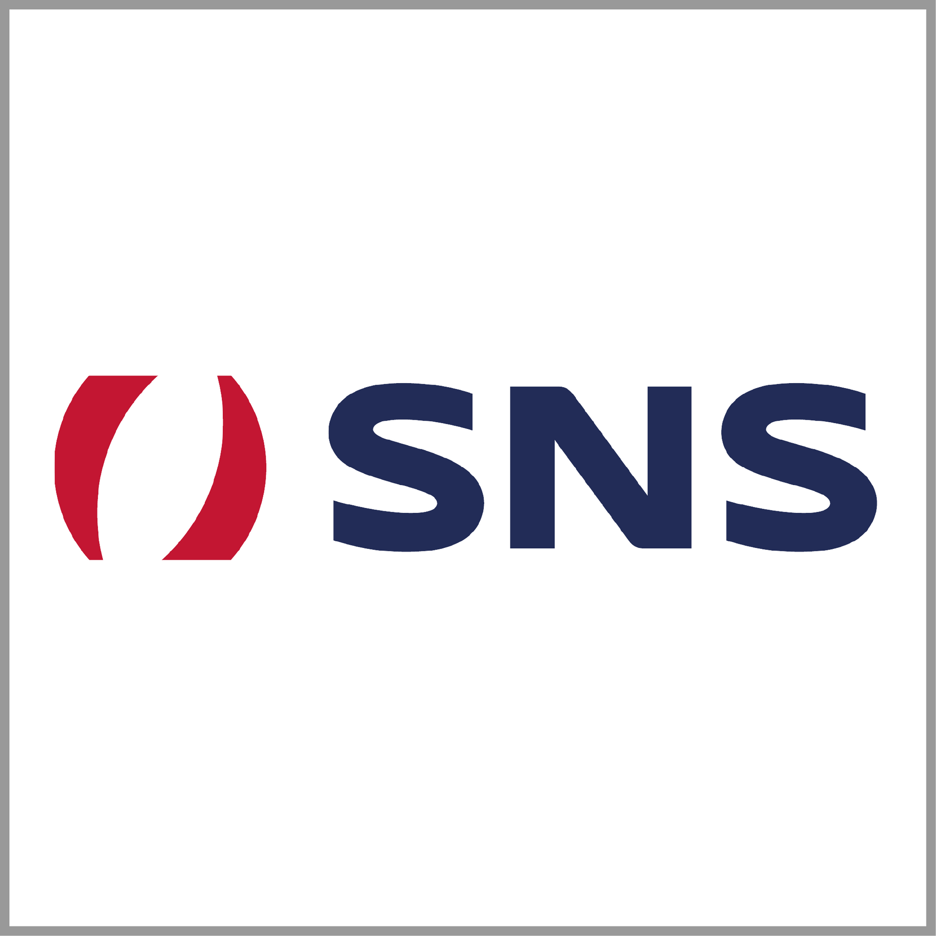 SNS logo with red and navy blue abstract icon on white background