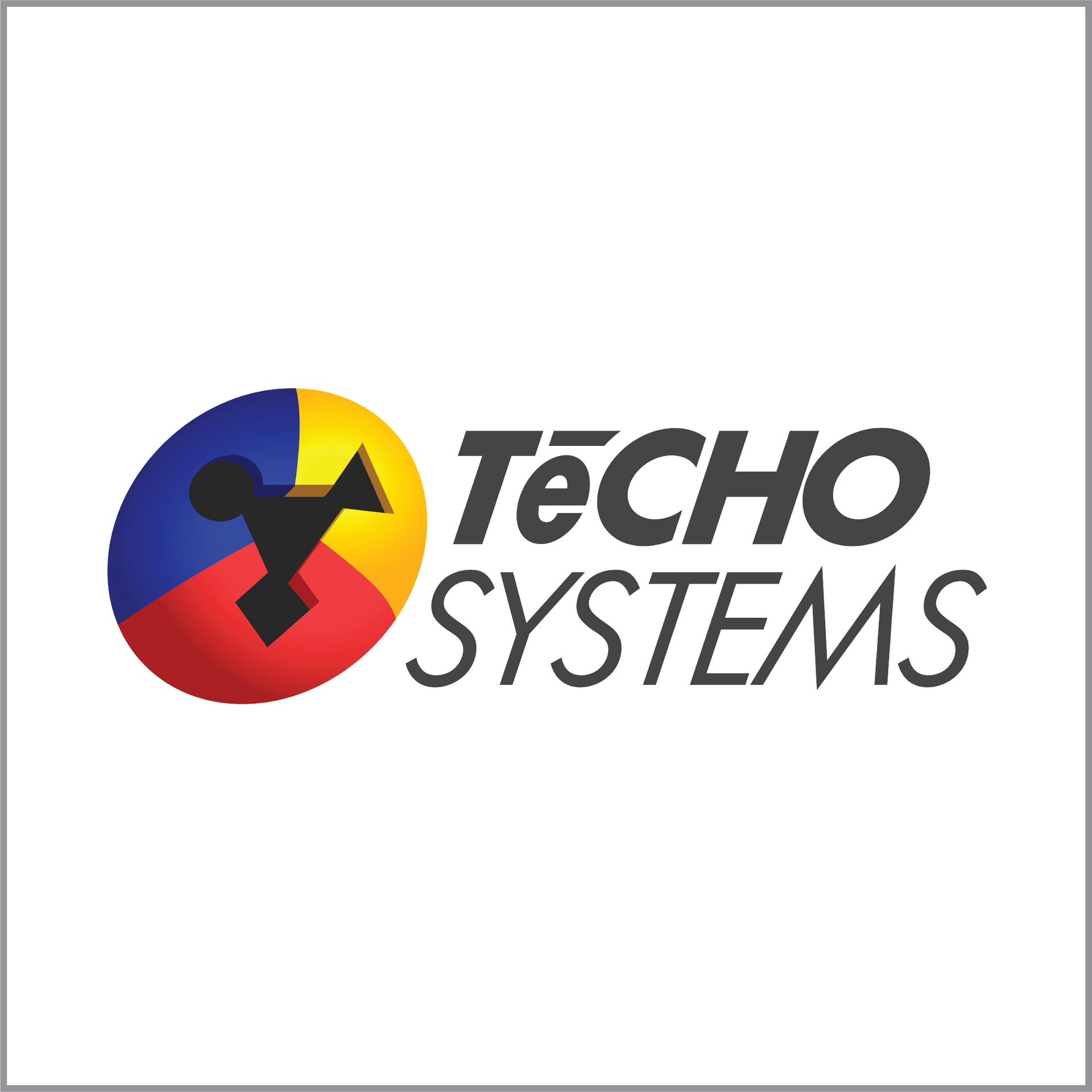 A colorful icon beside a grey logo for TeCHO systems on a white background.