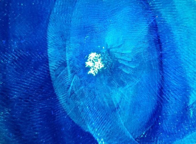 A close up of a blue background with a white circle in the middle.
