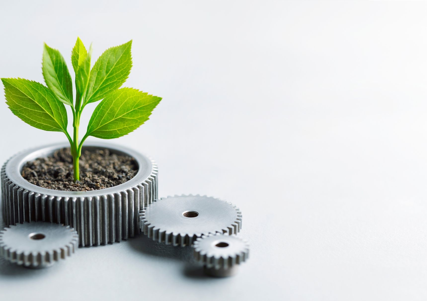A small plant is growing out of a pot of gears.
