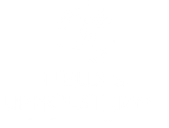 A white background with a few lines on it