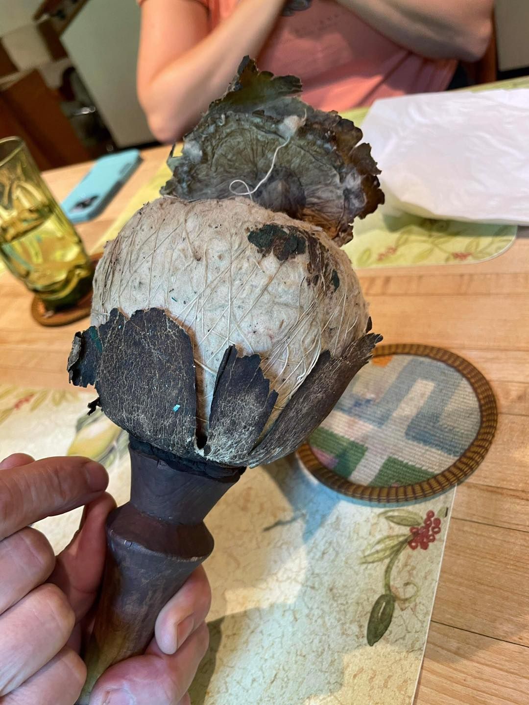 A person is holding a mushroom in their hand on a table.