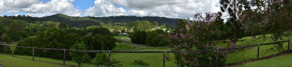 A Fenced In Area With Trees And Mountains In The Background — King’s John Carpet Kleaning & Pest Control Service In Nambour, QLD