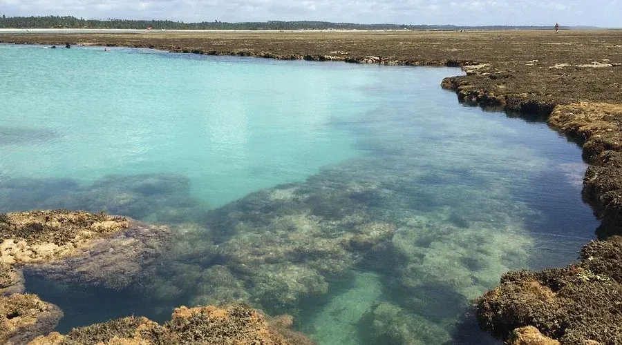 Piscinas Naturais de São Miguel dos Milagres