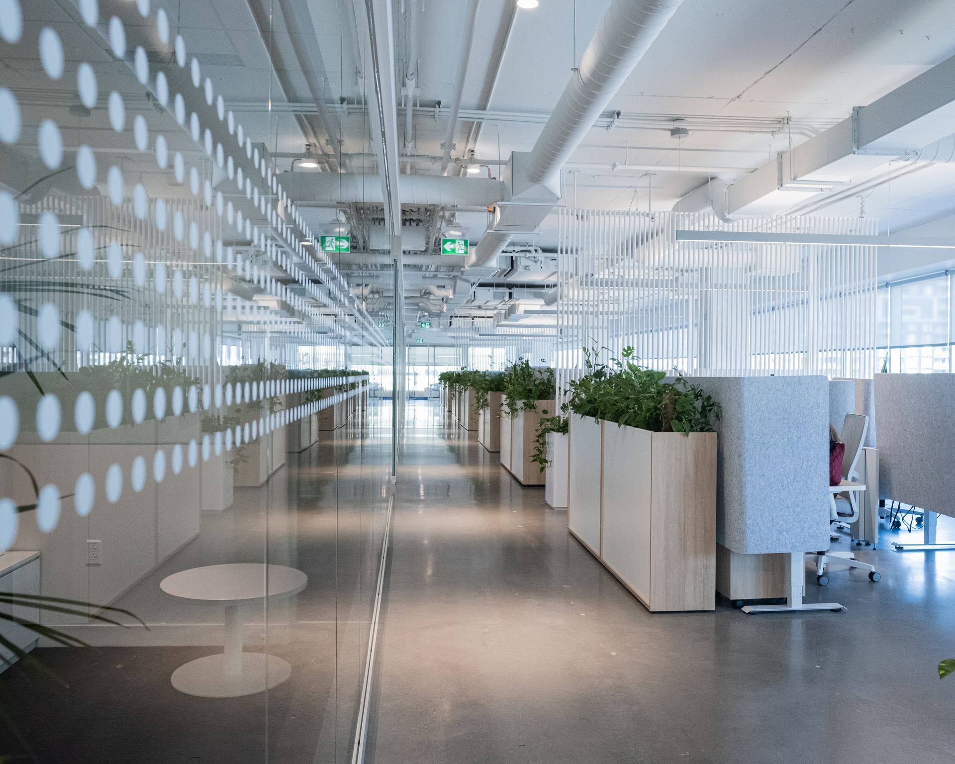 Intérieur de bureau moderne avec murs blancs, cloisons vitrées et plantes.