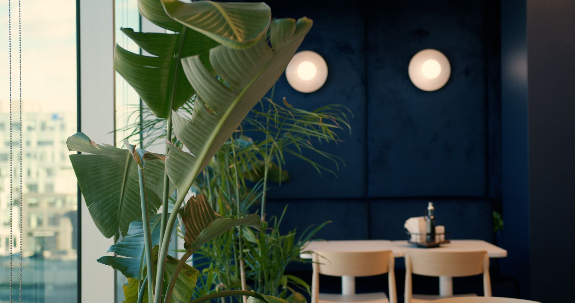 Restaurant intérieur avec grande plante verte, mur bleu, lumières blanches et tables.