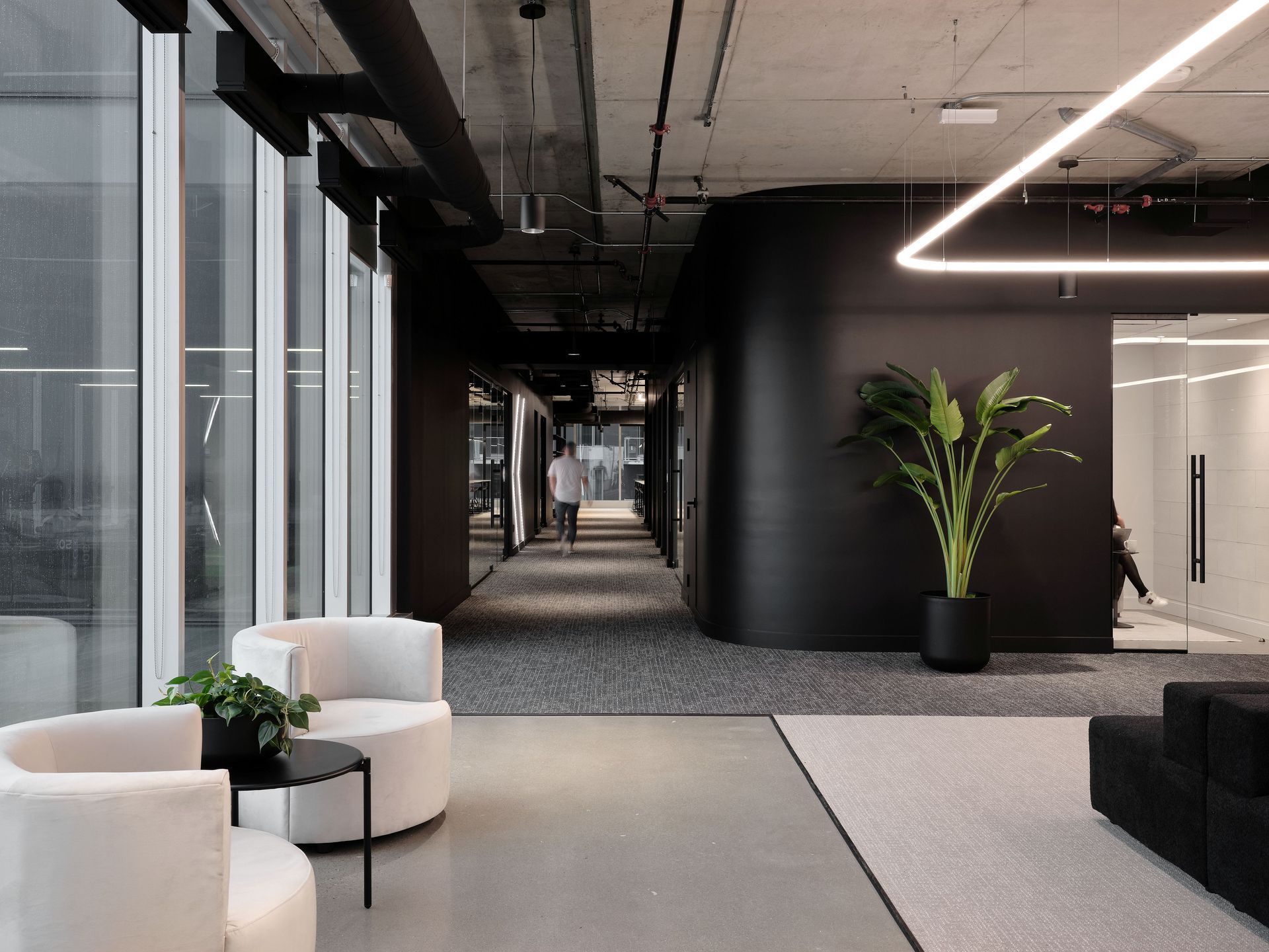 Intérieur de bureau moderne avec murs et couloir noirs, sièges blancs et une grande plante d'intérieur.
