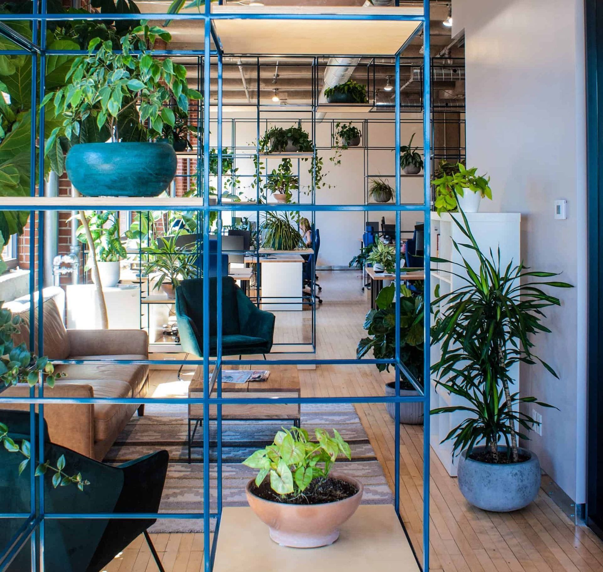 Bureau moderne avec un espace ouvert et des plantes d'intérieur ; étagères turquoise, mobilier neutre et un cadre lumineux et aéré.