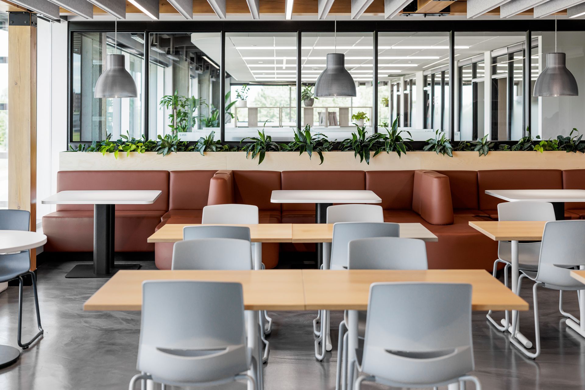 Une cafétéria avec des banquettes marron, des tables et des chaises grises. On aperçoit des plantes et de grandes fenêtres.