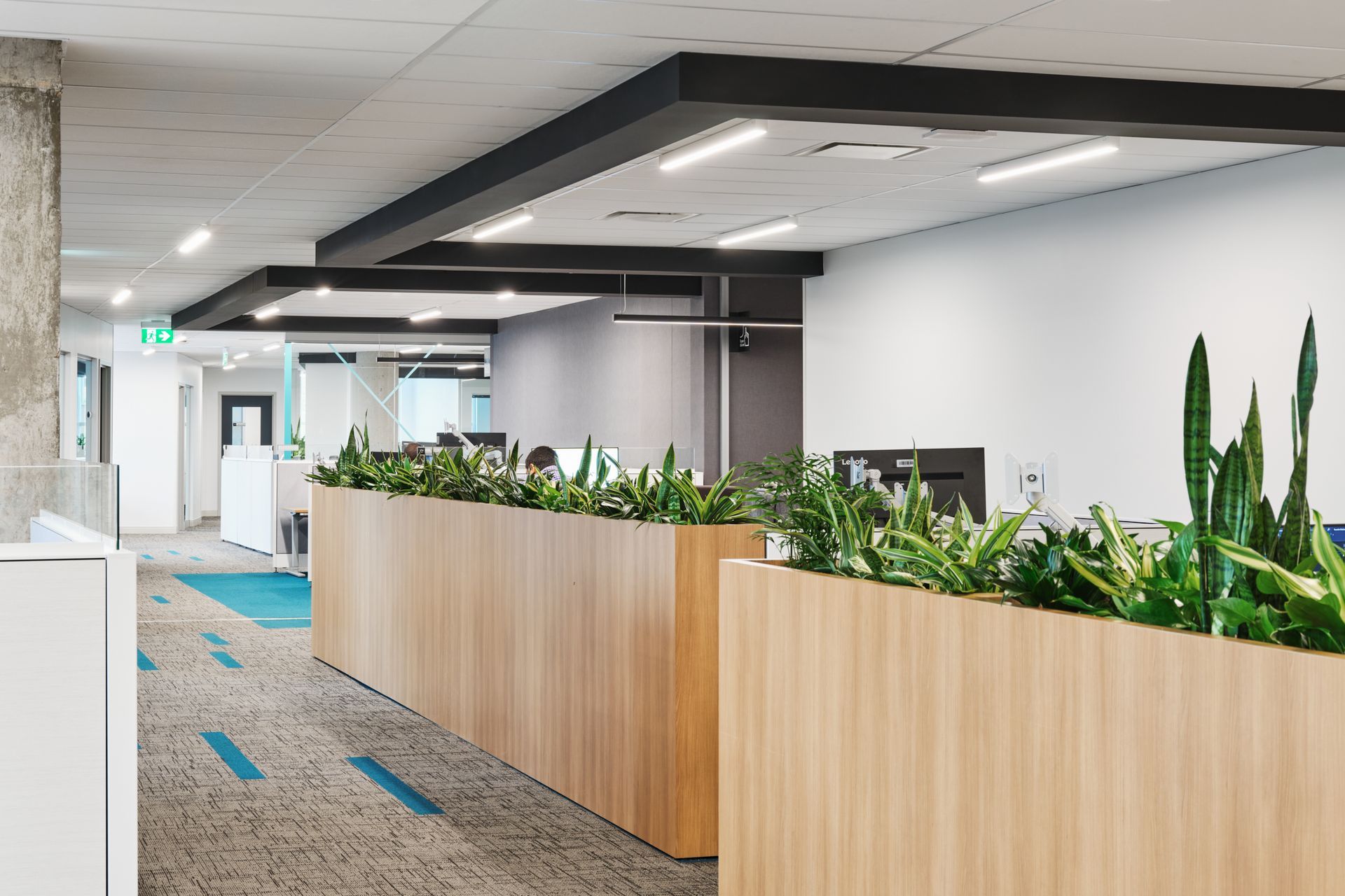 Espace de bureaux moderne avec cloisons en bois, verdure et éclairage zénithal.