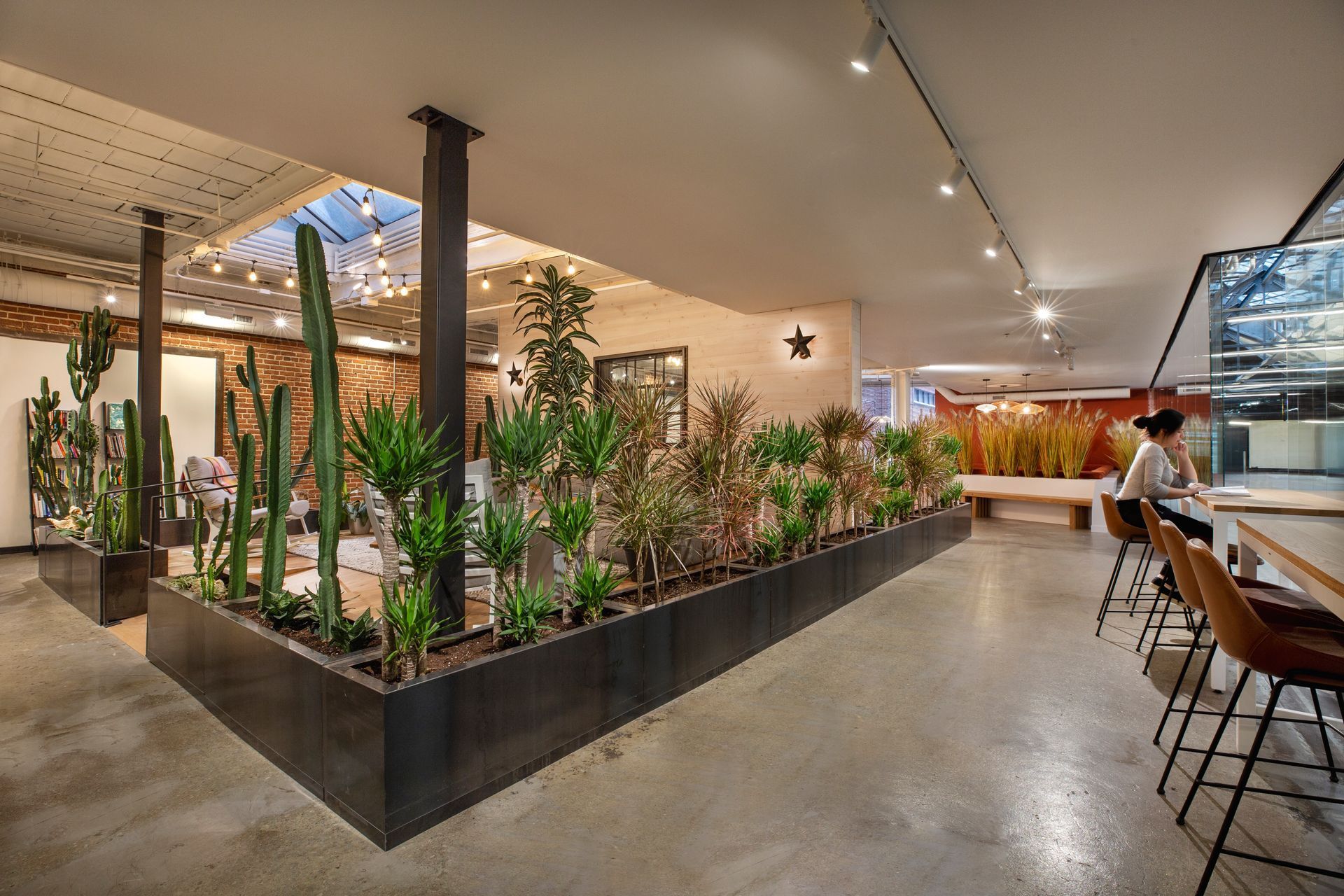 Intérieur de bureau avec des cactus et des plantes comme séparateurs, sol en béton, personne assise à une table.