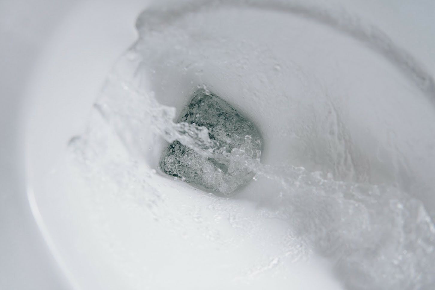 Toilet Bowl Close Up — Albuquerque, NM — AAA Pumping Service Inc.