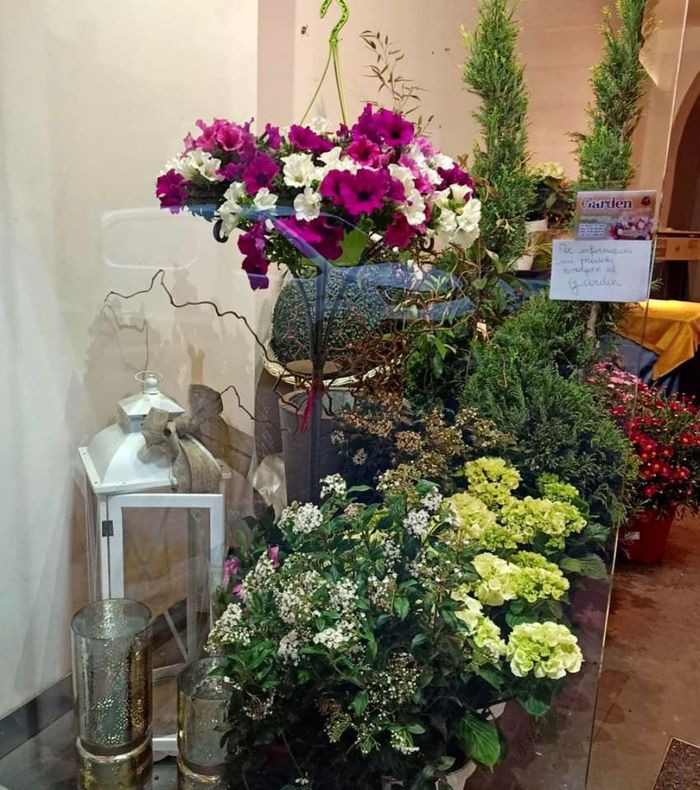 fiori freschi in vaso