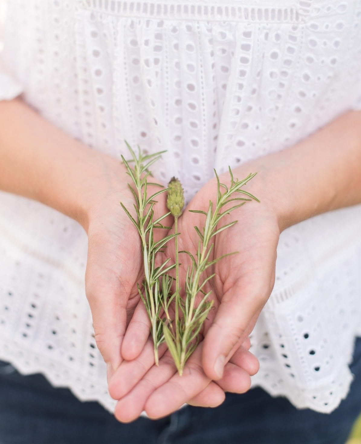 A woman is holding a sprig of rosemary in her hands.