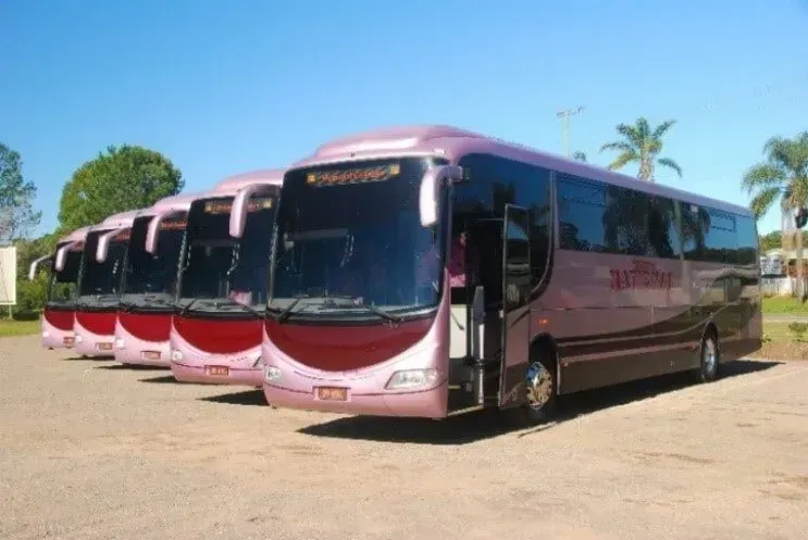 Wests National Coaches maroon coach parked on the Sunshine Coast, available for charter and wedding bus hire.