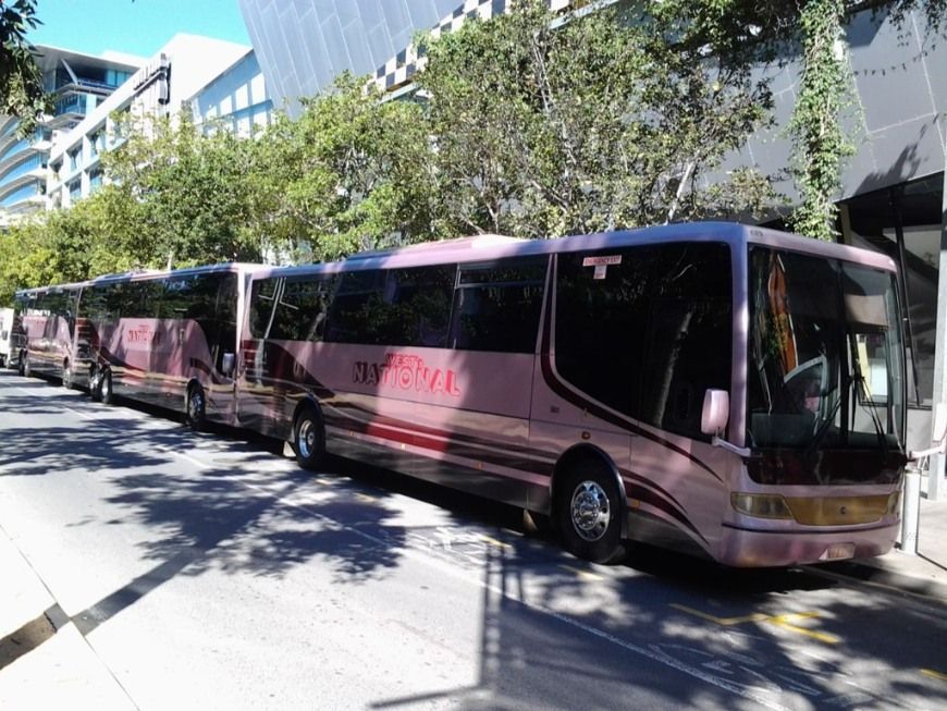 A Line Up Of Large Pink Buses Parked On The Road — Wests National Coaches In Chevallum, QLD