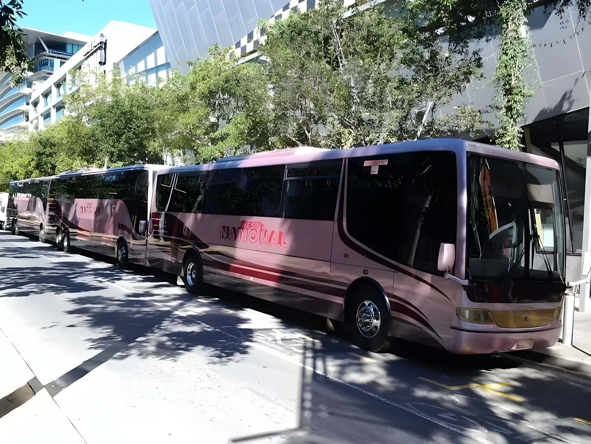 West National Tour Buses Parked Along City Street In Sunshine Coast