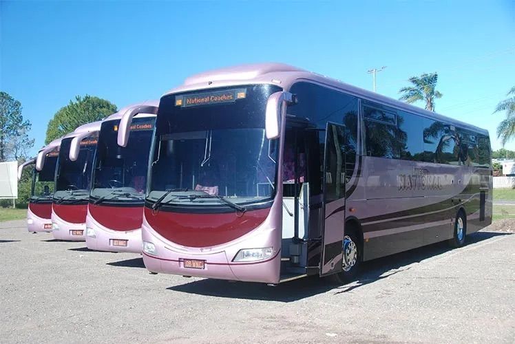 A Row Of Pink Buses In a parking lot — Wests National Coaches In Chevallum, QLD
