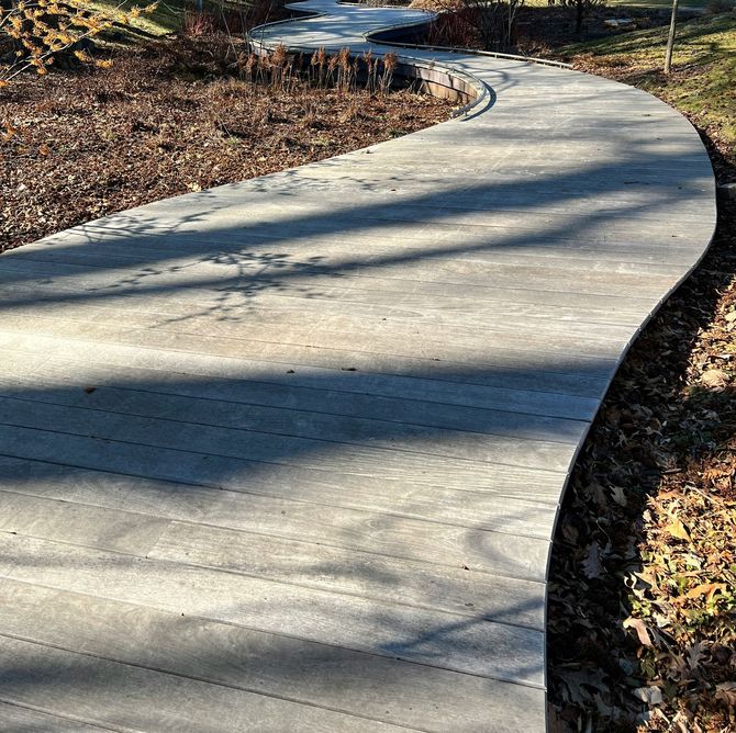 Curved concrete path through a wooded area with fallen leaves and sunlight shadows