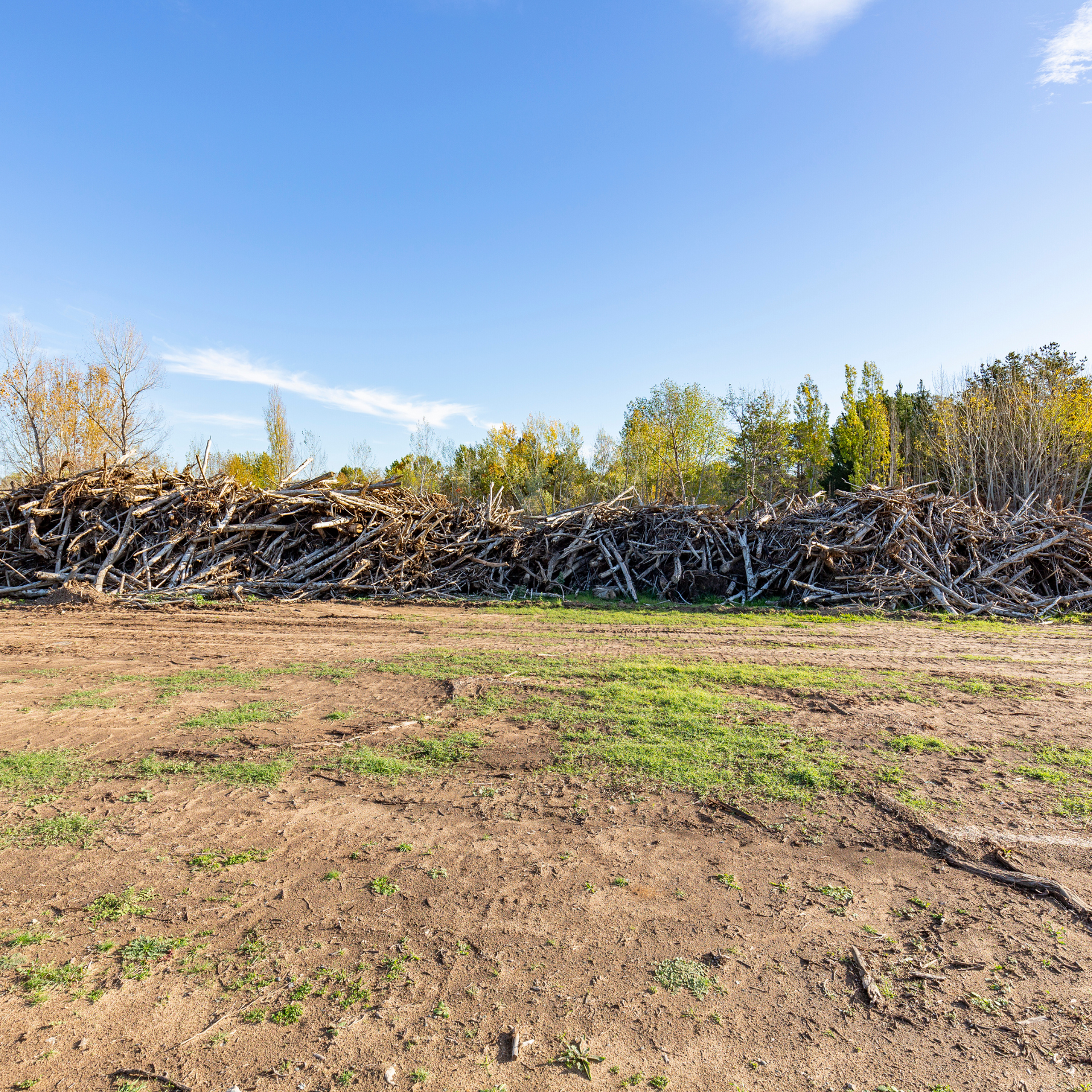 clearing and grading near me phenix city smiths station auburn opelika columbus