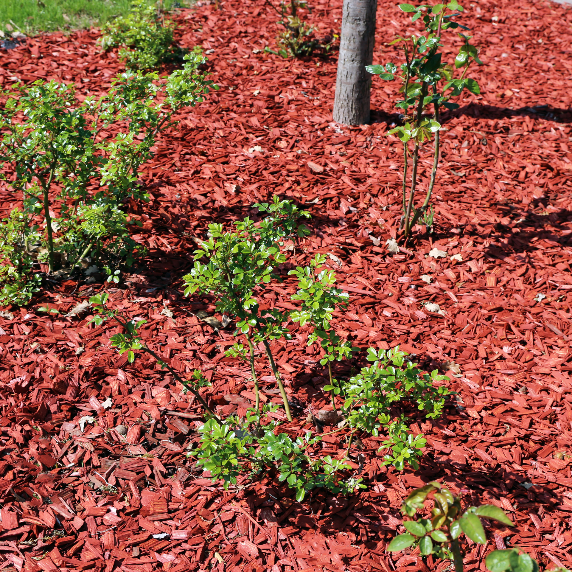 straw and mulch near me phenix city smiths station auburn opelika columbus