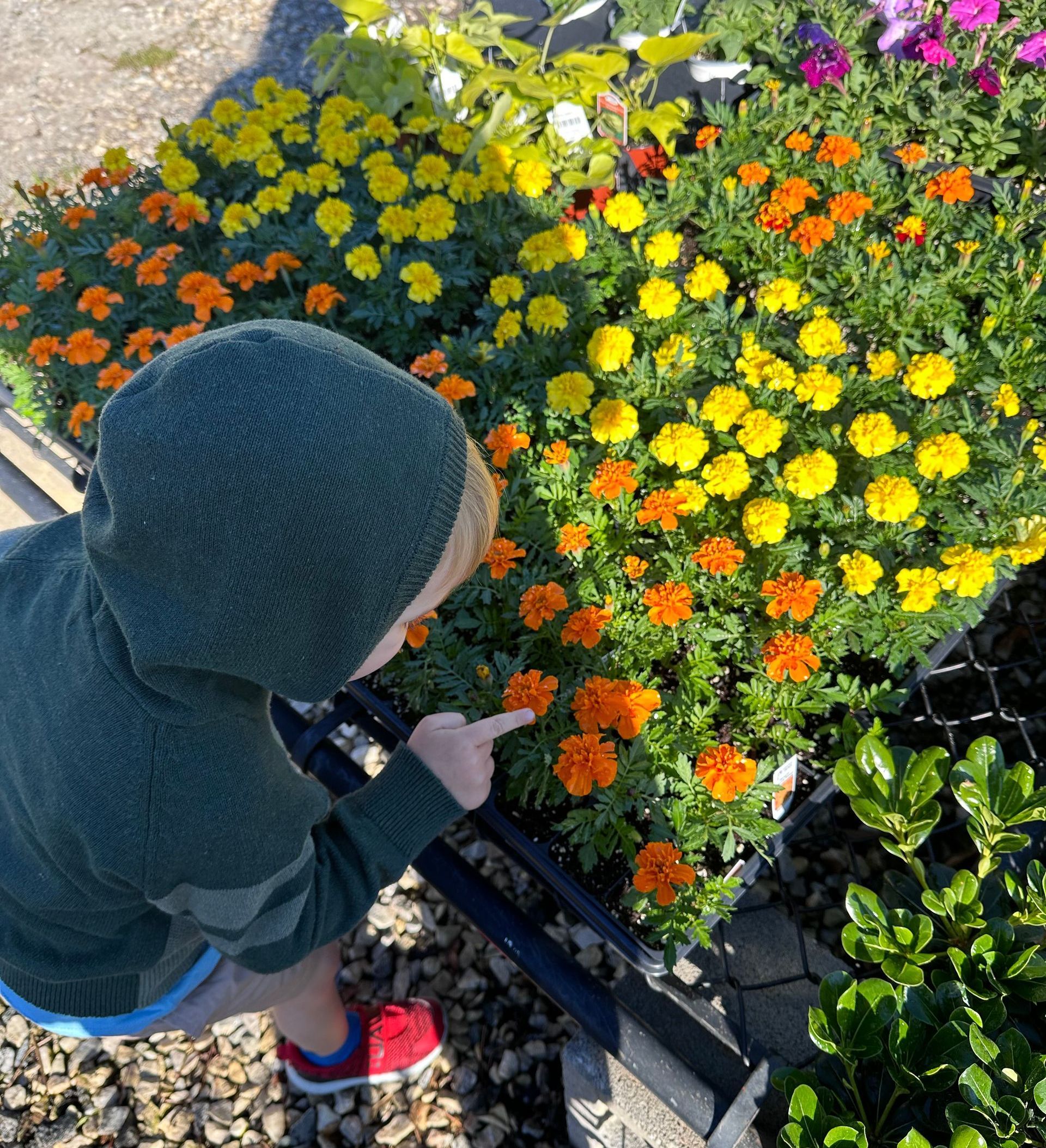 Plant nursery near me phenix city smiths station auburn opelika columbus
