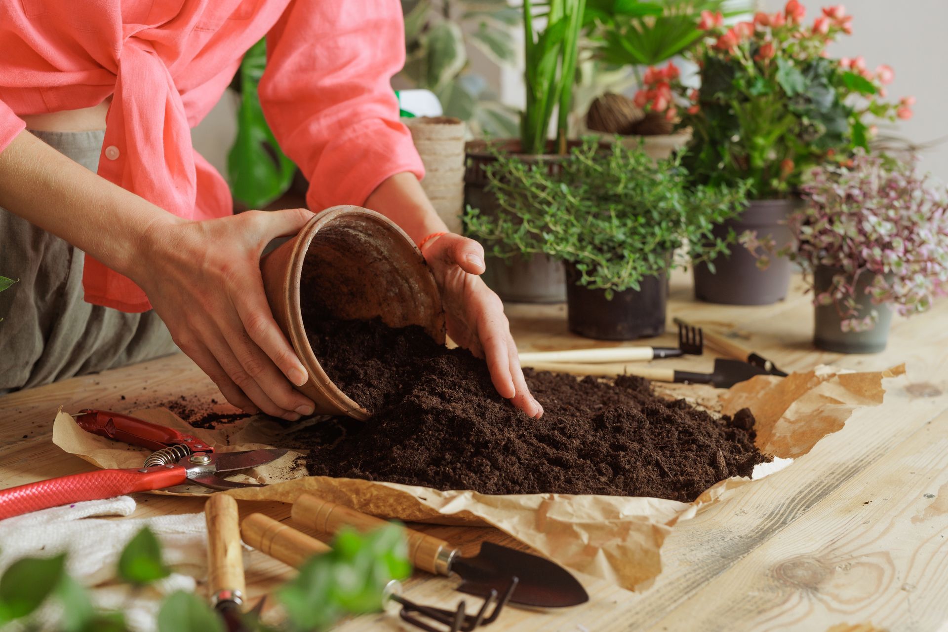 potting soil near me phenix city smiths station auburn opelika columbus
