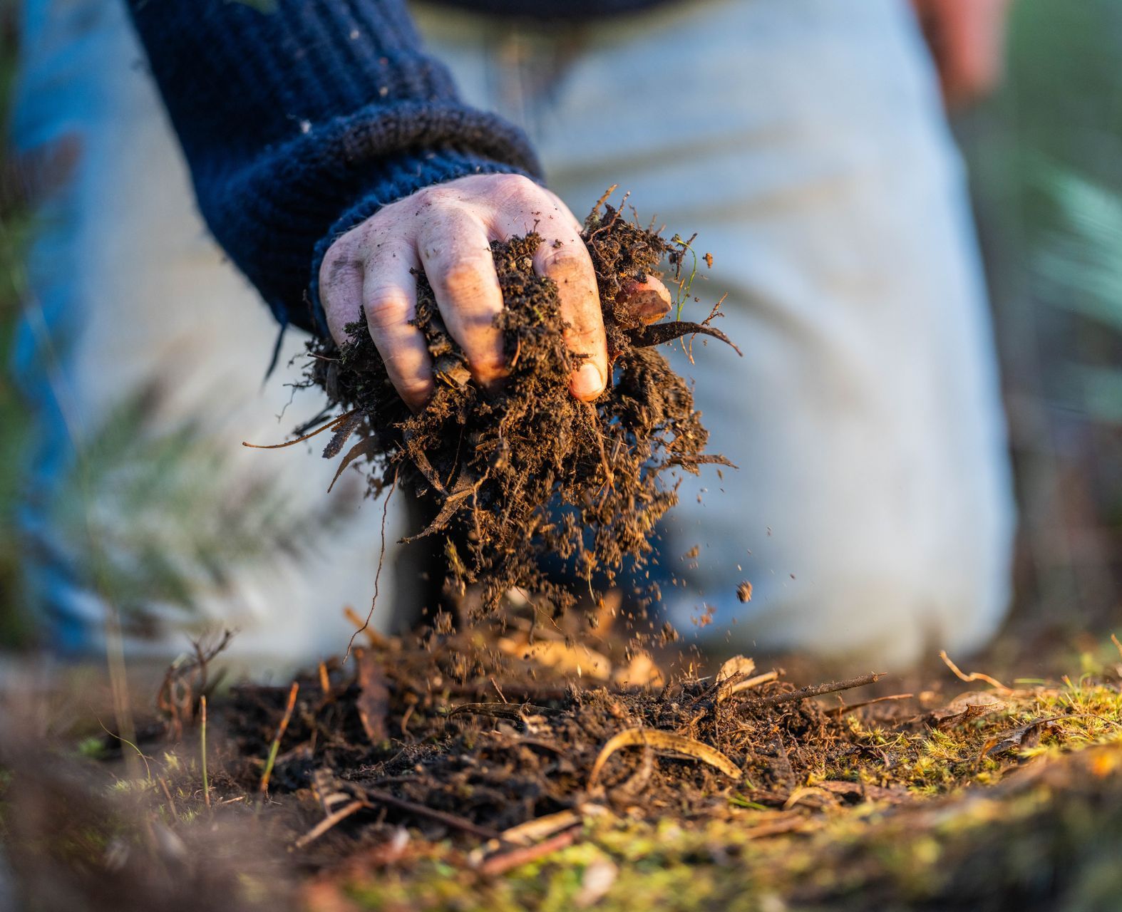 soil and sand near me phenix city smiths station auburn opelika columbus
