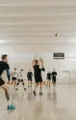 hbiq-sports-volleyball