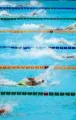 hbiq-sports-swim