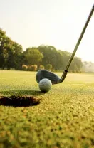 hbiq-sports-golf