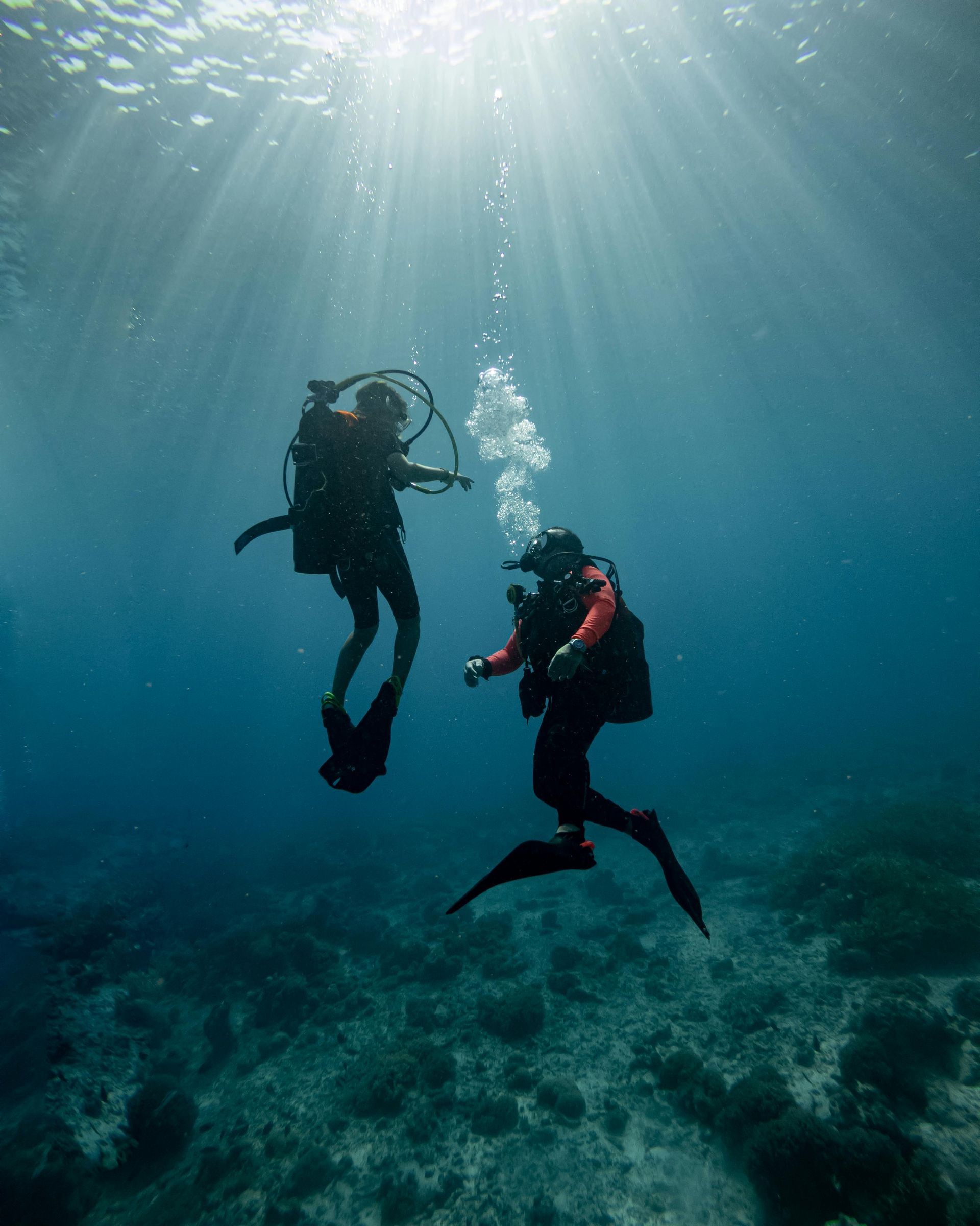 Scuba diver exploring underwater coral reefs near Bohol Philippines a popular activity for guests at Pure Shores Villa