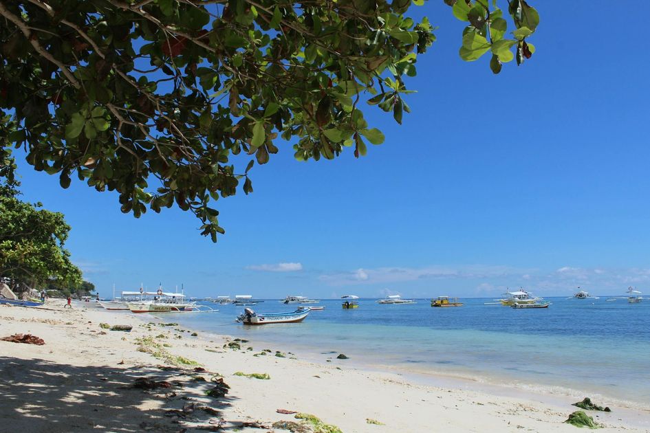 Island hopping boats along a Bohol beach with turquoise waters a popular day trip arranged by Pure Shores Villa
