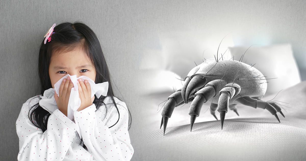 alergia aos ácaros