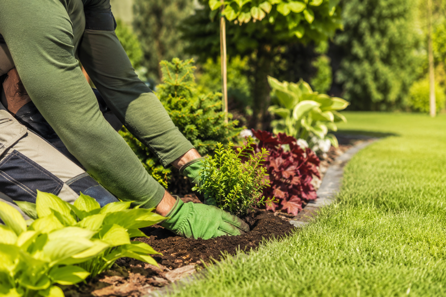 Gardener in a brown hat pruning shrubs with shears in a leafy autumn garden