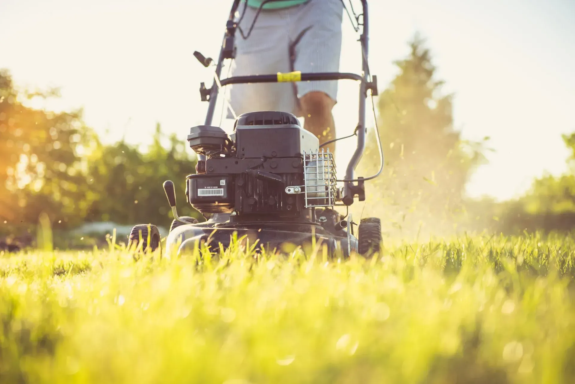 Person mowing a sunlit lawn with a push mower in tall green grass