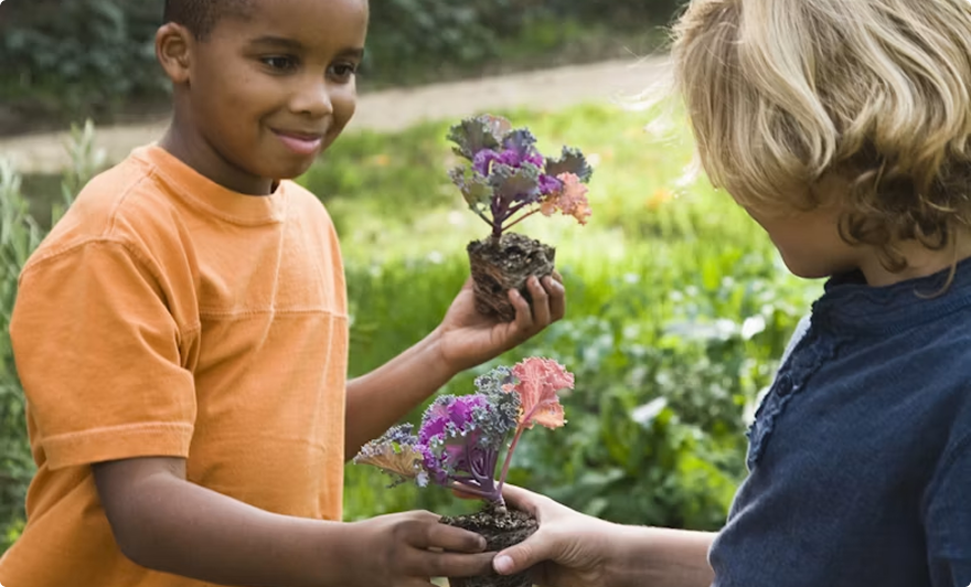 Two children in a garden exchanging small potted purple flowers
