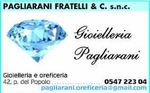 GIOIELLERIA FRATELLI PAGLIARANI & C. SNC-logo