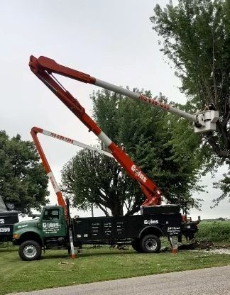 Man Trimming a Bush - tree service in Connersville, IN