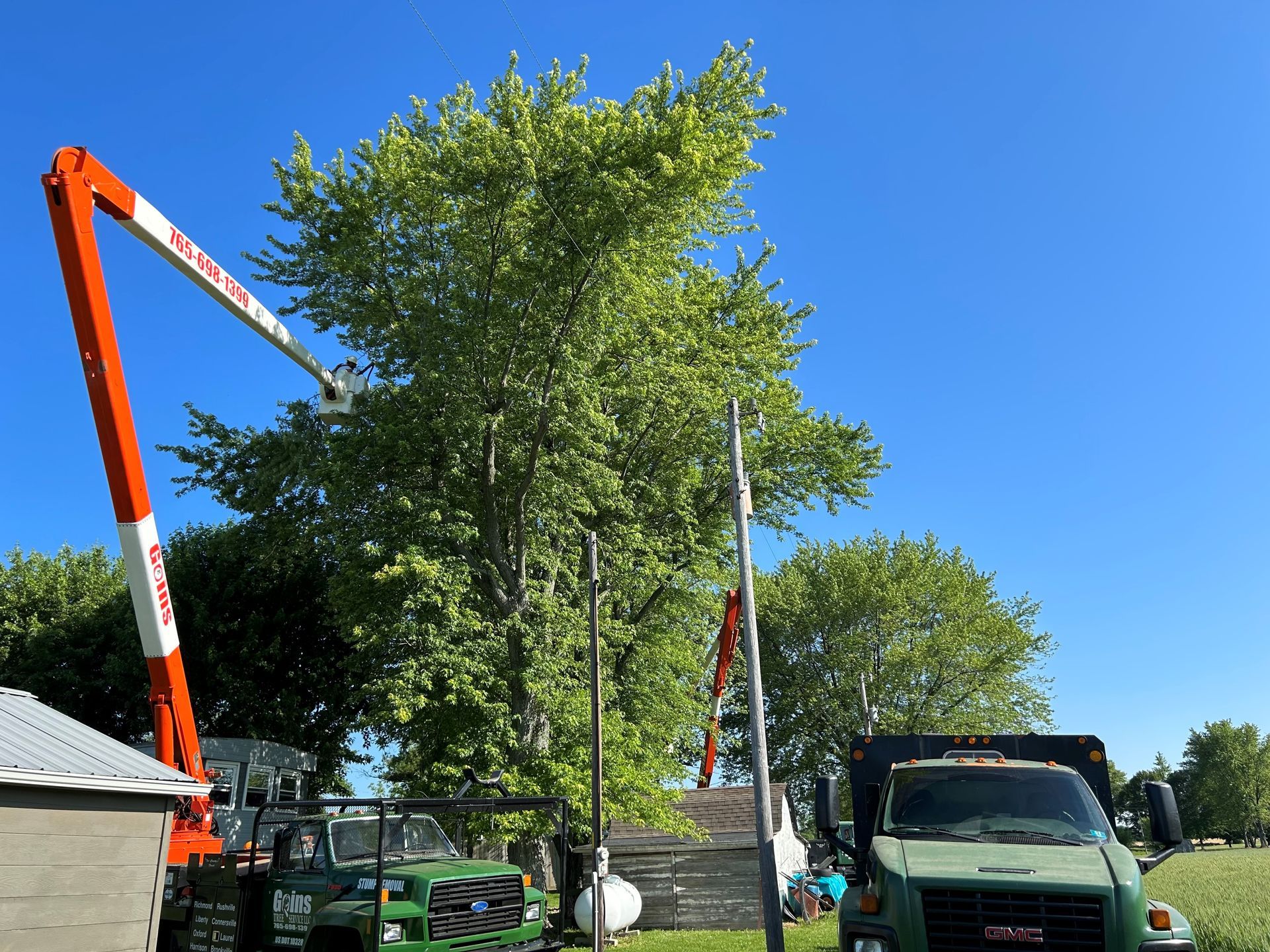 Care for Fruit Trees - Tree removal in Connersville, IN Care for Fruit Trees - Tree removal in Connersville, IN