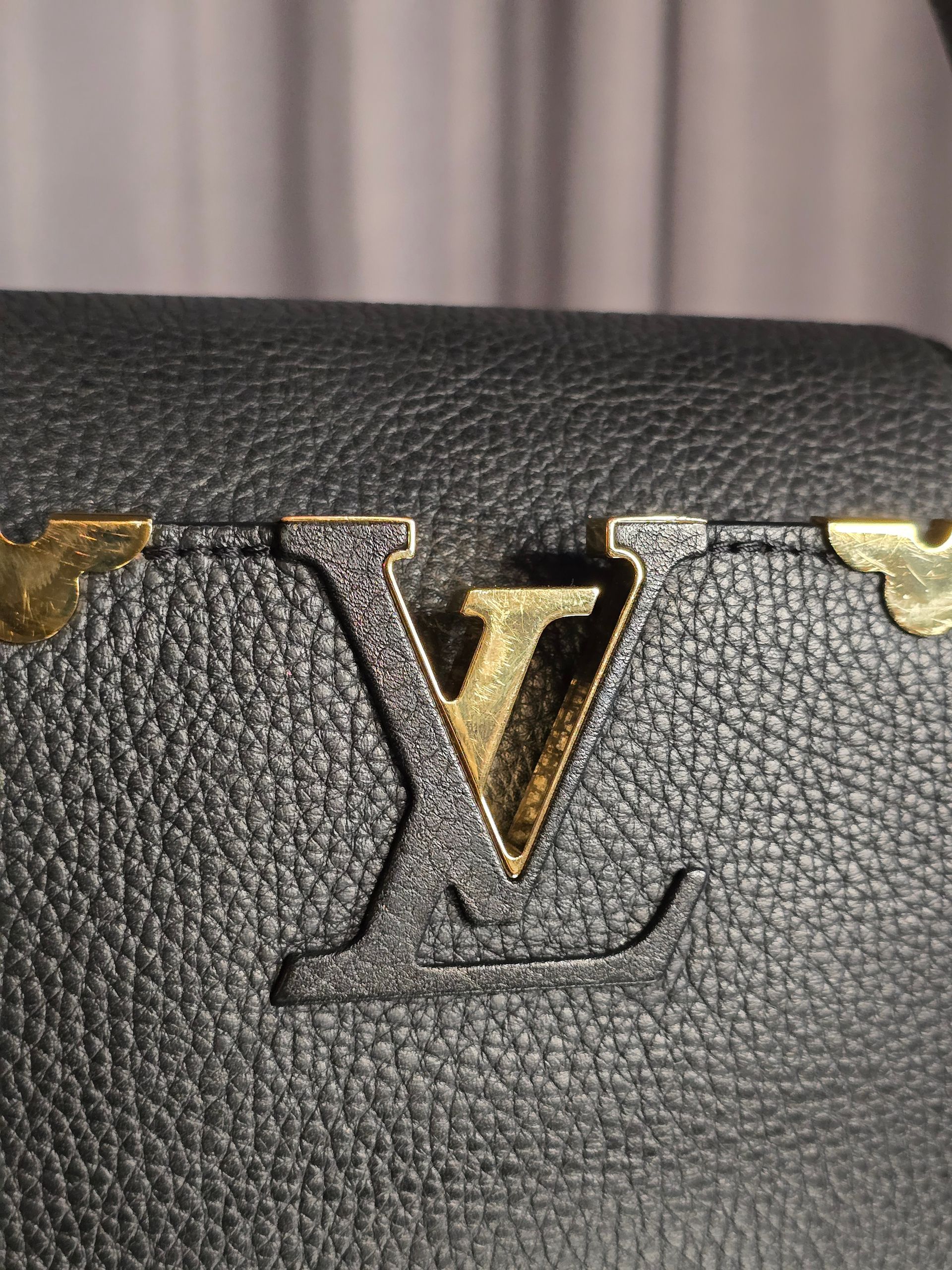Louis Vuitton Capucine Leather Handbag PM