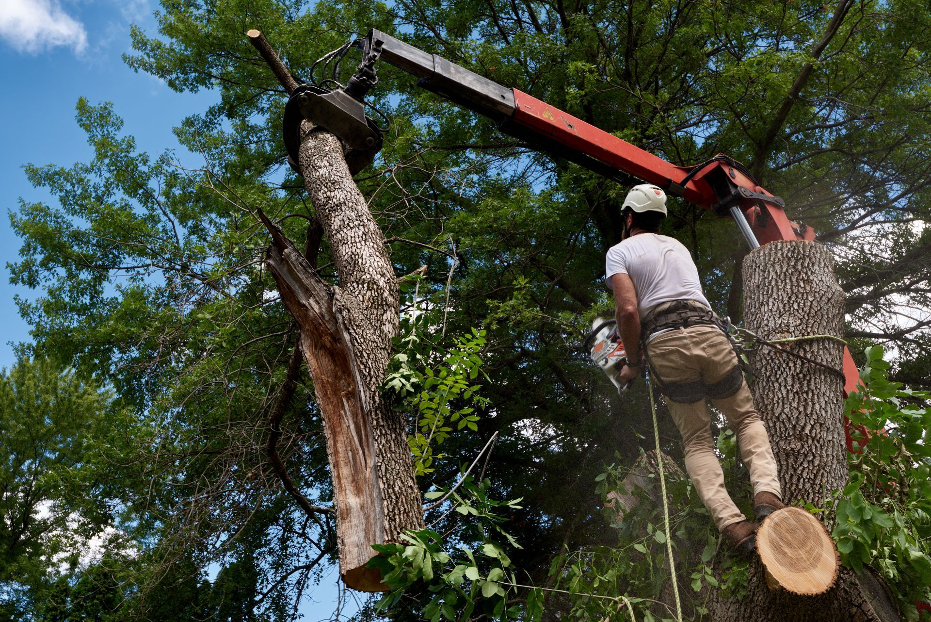Get a crane tree removal in White Lake, MI with Chop N Drop Tree Service