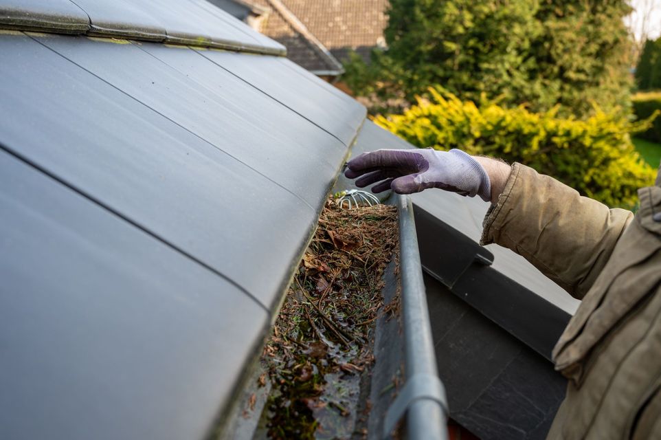 Person cleaning leaves and debris from a rooftop gutter, wearing gloves, with dark gray roof tiles.