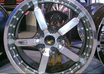 Custom Wheels at Mr. T's Auto Service Inc. in Fairfield, AL
