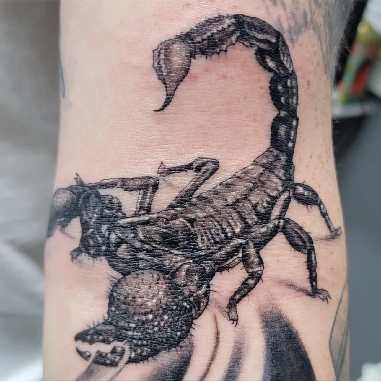 Blue-gloved hand pointing to a small bird tattoo above a butterfly tattoo on a person's leg